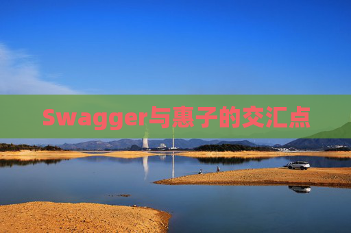 Swagger与惠子的交汇点